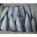 Chinese Export Frozen Fish Mackerel Fillets